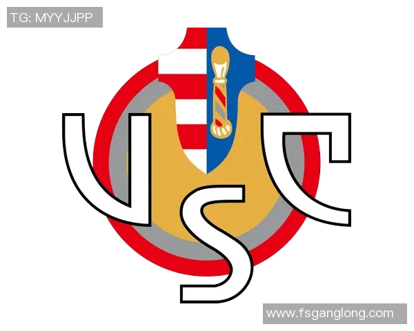 意大利足球甲级联赛的历史变迁与未来发展趋势分析