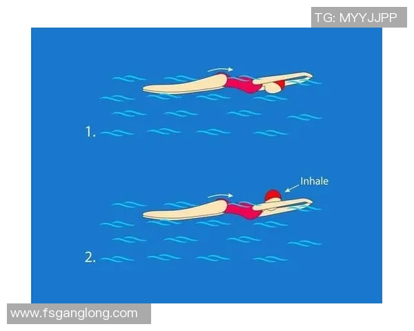 蝶泳基本技巧解析与提高训练方法全面指南