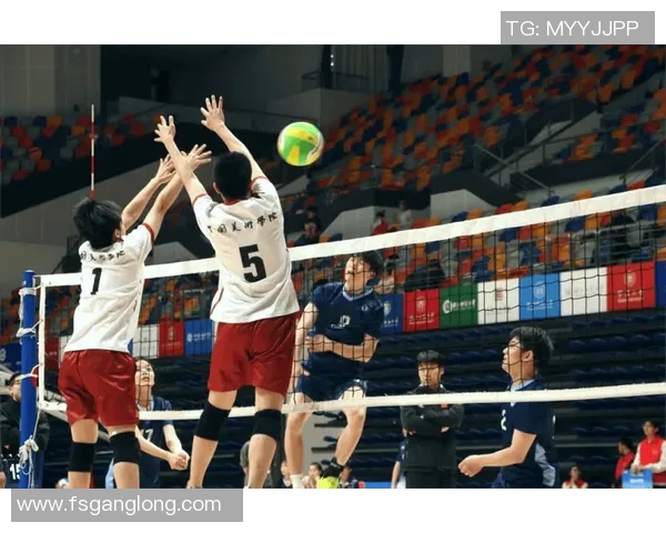 与王芳畅谈排球生涯的辉煌与挑战之路