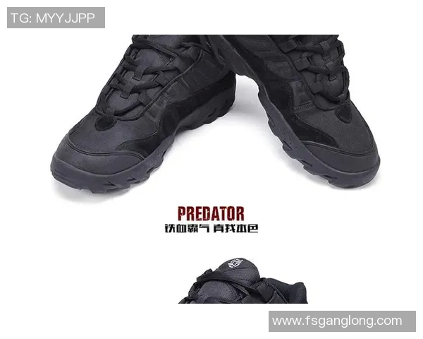 武汉攀岩队整体压制体系的战术解析与实战应用探讨