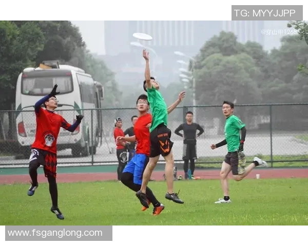 飞盘深度探索：揭秘北京飞盘队的战术转换与团队协作之道