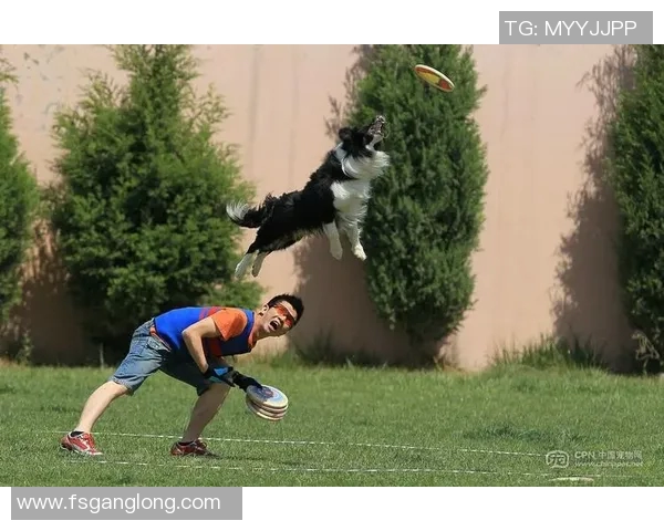 广州飞盘队在极限运动世界杯中的精彩表现与实力分析 广州飞盘队在极限运动世界杯中的精彩表现与实力分析